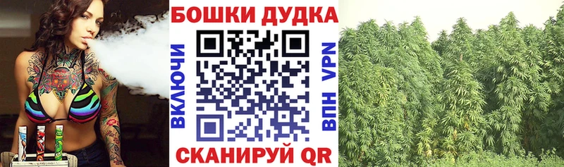 Где можно купить наркотики Новый Уренгой Каннабис  A-PVP  Амфетамин  МЕФ  Гашиш 