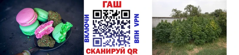 Cannafood марихуана Новый Уренгой