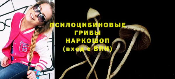 дурь Аркадак