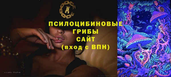 амф Балахна