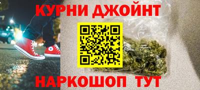 стаф Дубна