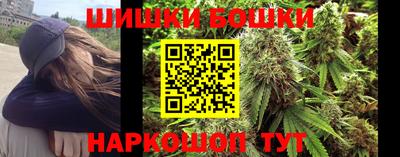 стаф Дубна