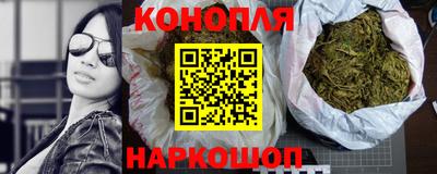 стаф Дубна