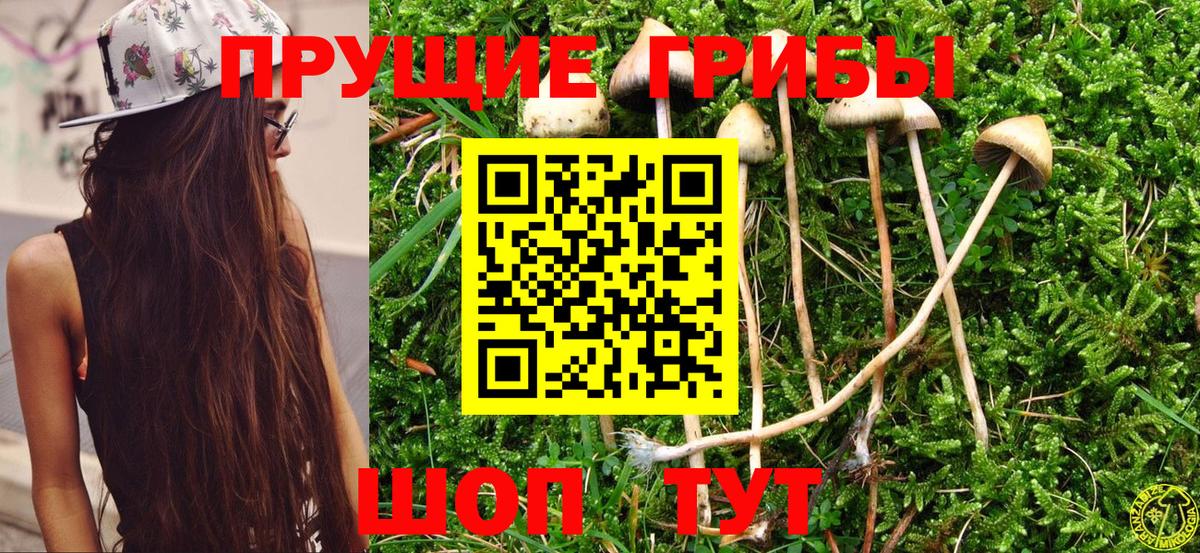 Галлюциногенные грибы мицелий Новый Уренгой